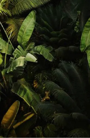 Mosaico Alma Brasileira - Imagem 1