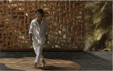 Mosaico Alma Brasileira - Imagem 11