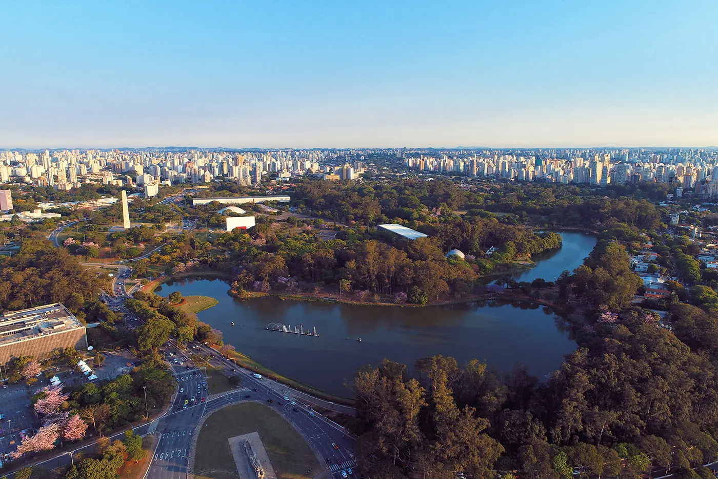 Detalhe Parque Ibirapuera