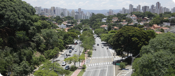 imagem card