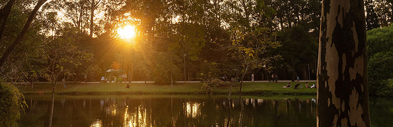 Próximos ao Ibirapuera