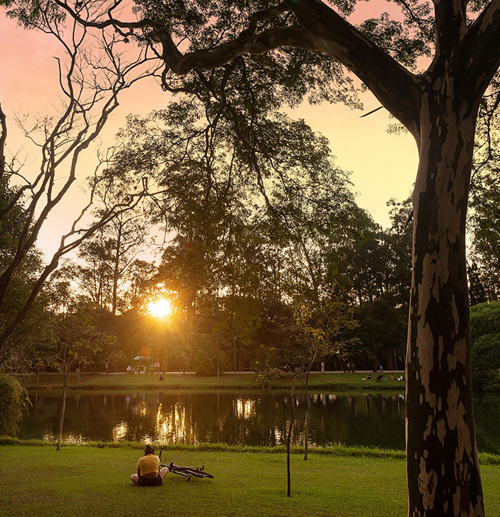 Próximos ao Ibirapuera