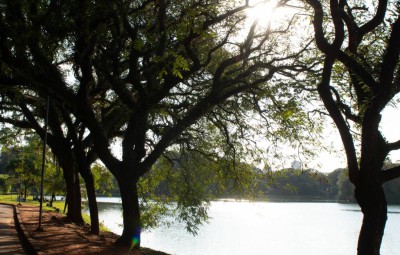 Ibirapuera