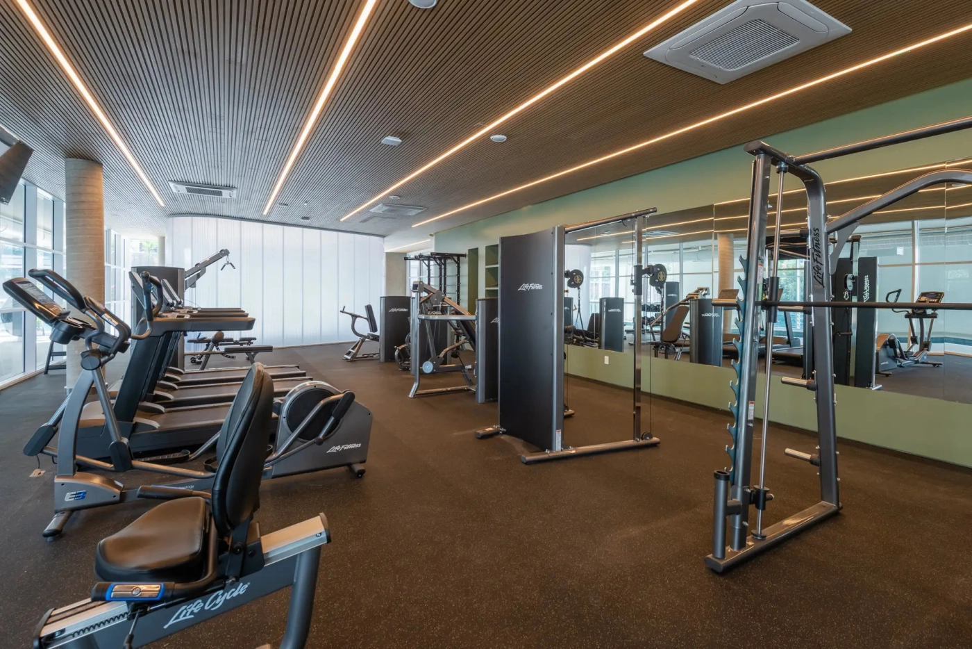 Fitness com equipamentos life fitness